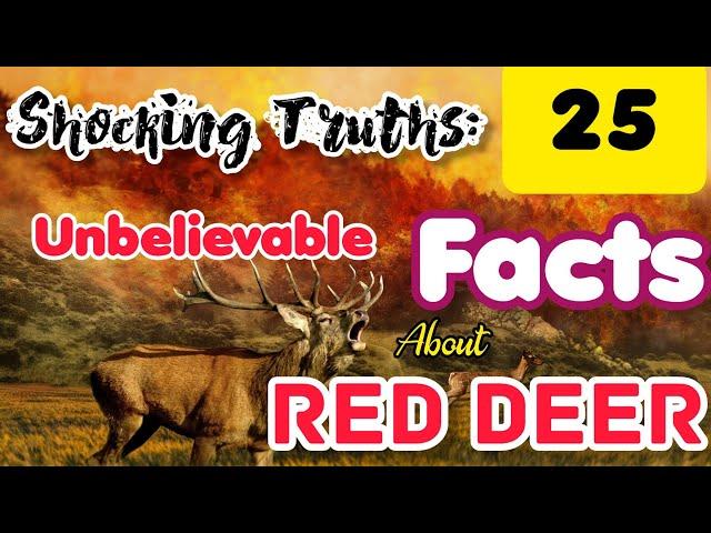 Red Deer Mind Blowing Factspedia | Red Deer Intresting Factspedia | Red Deer Amazing Factspadia