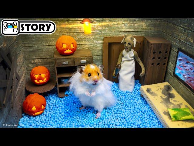  Hamster Escapes the Granny Maze on Halloween  Homura Ham Pets