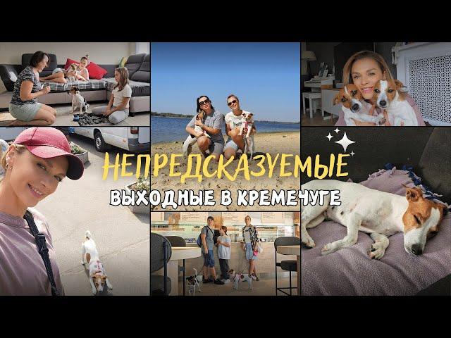 DOG VLOG: ВСЁ ПОШЛО НЕ ПО ПЛАНУ!!! | Кременчуг и наши НЕПРЕДСКАЗУЕМЫЕ ВЫХОДНЫЕ