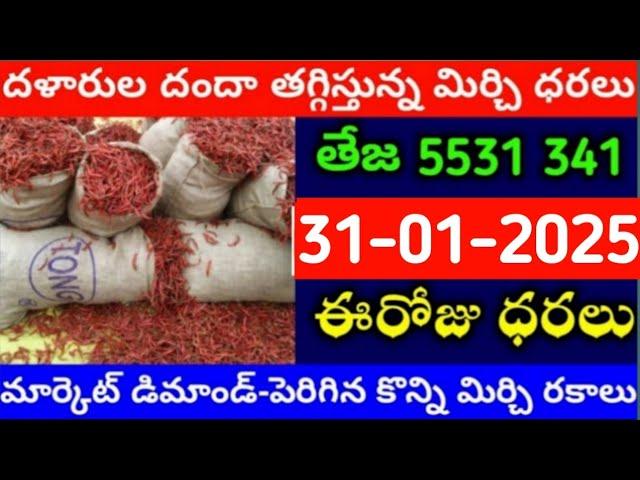 31-01-2025 గుంటూరు మిర్చి మార్కేట్ ధర || Today #MirchiRates In market ||  Mirchi Rate Increase ??