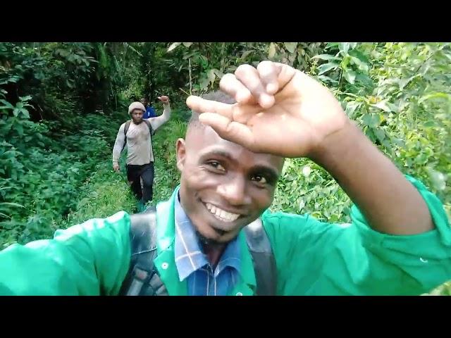 Commune d'Eboné projet 2 hectare de bananiers plantains. Nous sommes sur le Terrain...