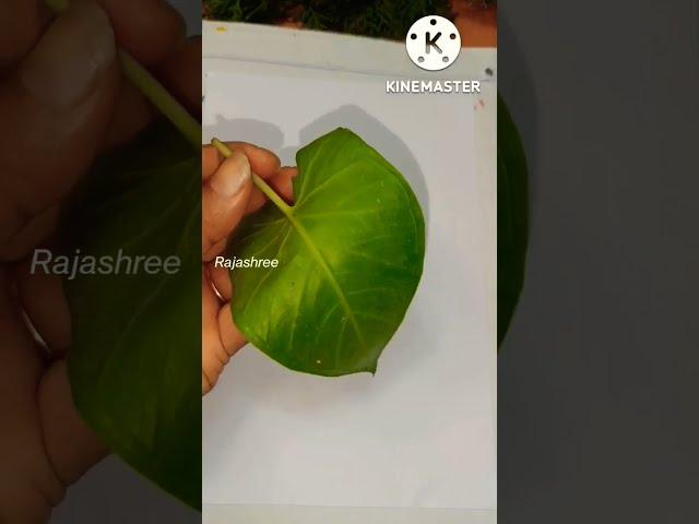 #shorts #viral #diy #artandcraft #rajashree #easydrawing #leafprint