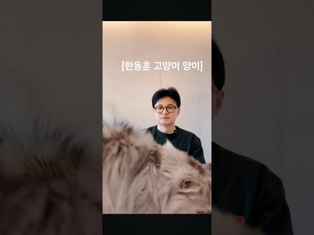 '양이'에 숙련된 밀당에 속수무책으로 당하는 고양이 집사 한동훈