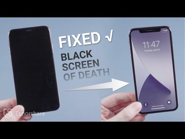 How to Fix iPhone Black Screen of Death? 3 Ways to Save Its Life!