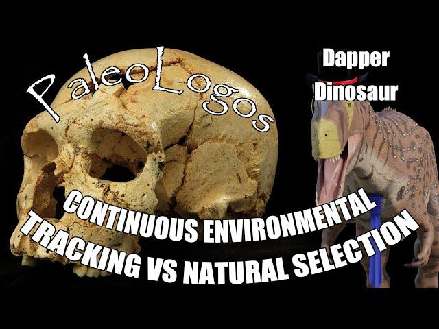 PaleoLogos and Dapper Dinosaur: Continuous Environmental Tracking