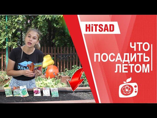 Hitsad TV - Что посадить в середине лета -  советы садоводам