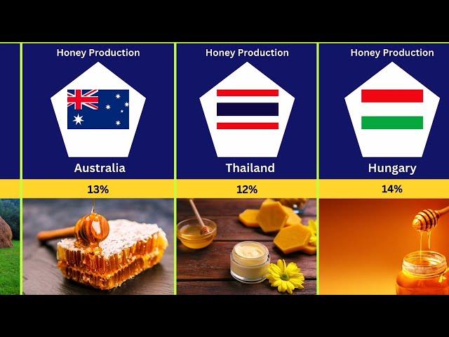 Top Honey Producing Countries