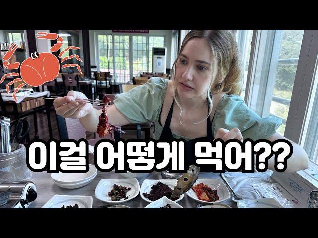 My American Wife's Reaction to Raw Crab Restaurant! (Yeosu Trip, KOREA) 