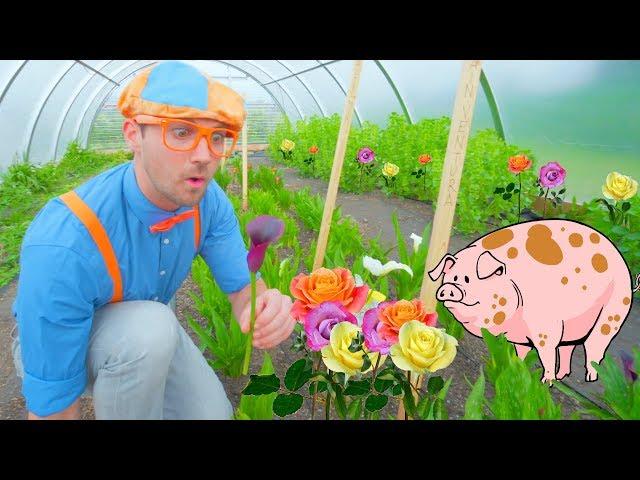 Blippi Farm Tour | Farm Animals and Vegetables for Kids