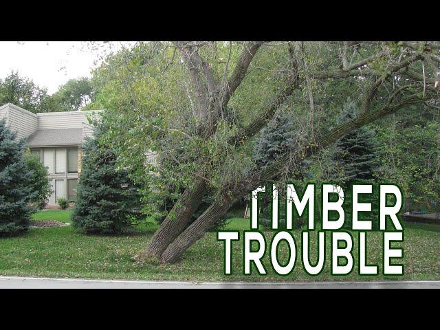 Timber Trouble | Digging Deeper | Backyard Farmer | Nebraska Public Media