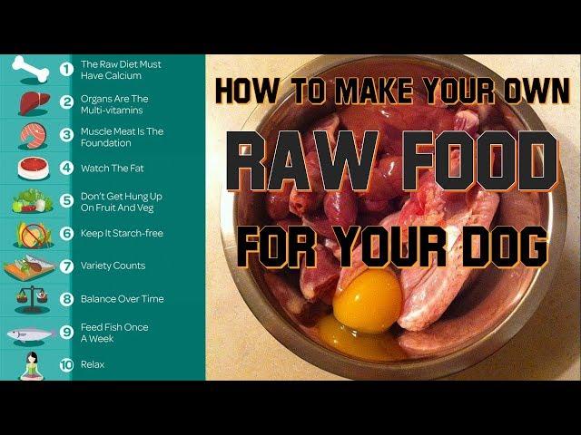 Easy, Basic, DIY - How to Make Your Own Raw Food Diet for Your Dog