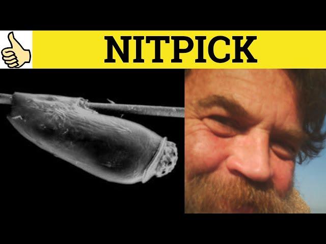  Nitpick - Nitpicker Meaning - Nitpicking Examples - Nitpick Defined