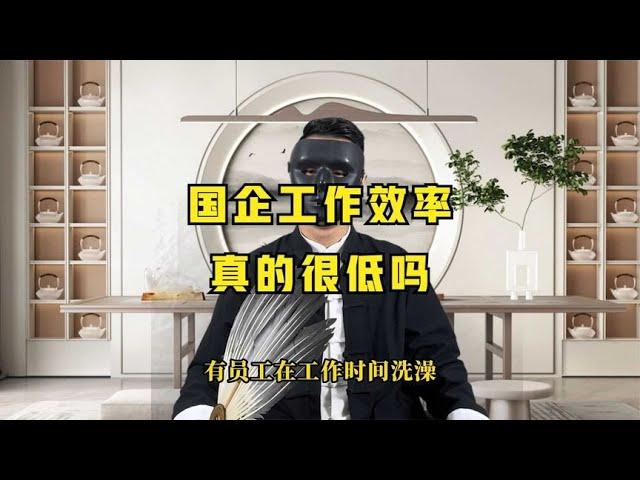 职场那些事儿EP17(第17集)：国企工作效率真的很低吗  ,职场规则,职场潜规则,职场干货,职场,职场文化,办公室文化,职场处世之道,人际交往,人性,人生感悟,处世之道,潜规则,人生智慧