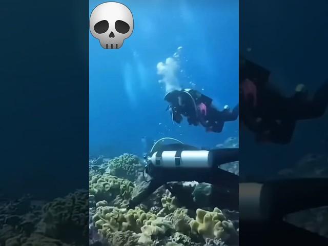 Underwater EARTHQUAKE!!!! #scubadiving #oceanlife #godzilla #adventure #cameraman