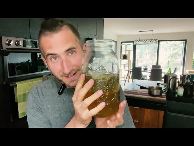 Beginners Guide to Making Jun - The Champagne of Kombucha