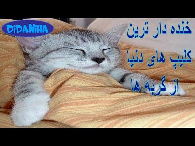 clip khandedar - خنده دار ترین کلیپ های دنیا ۵