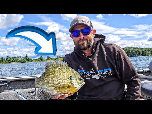 Targeting MEGA Summer Bluegills (1 Pound GIANTS!!)