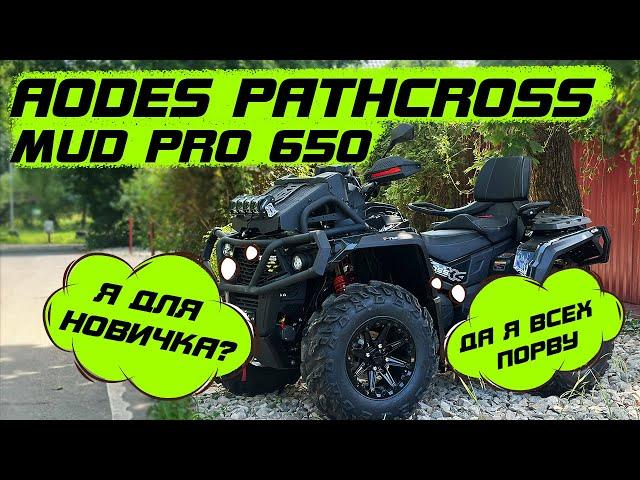 Выбор квадроцикла для новичка или бывалого? Новый Aodes Mudpro 650