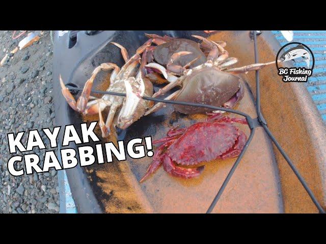 Kayak CRABBING  Pacific Northwest Crabbing