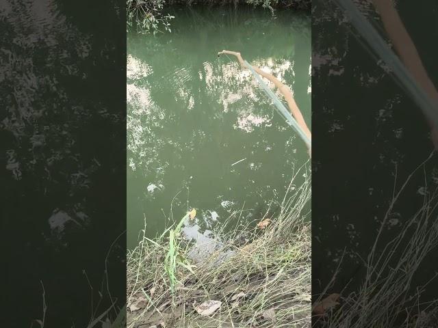 FishingFarmerviral#Soel#viral#Sohelkhanfishing