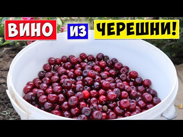 ВИНО из ЧЕРЕШНИ / Простой Рецепт  Cherry wine