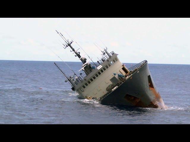 Poaching Vessel, Thunder, Sinks in Suspicious Circumstances