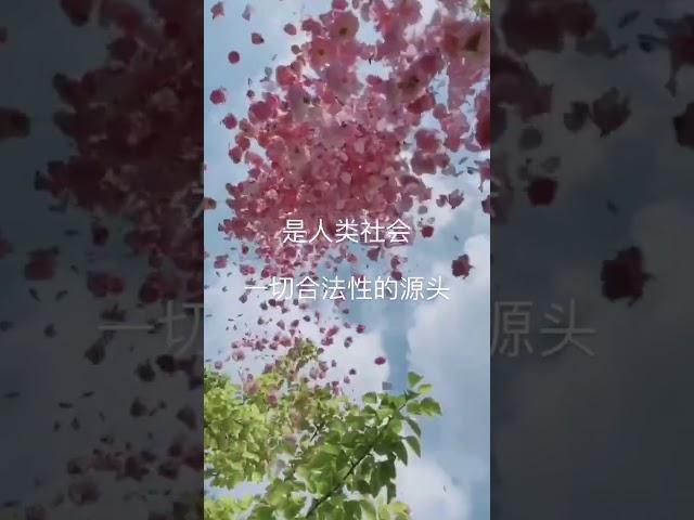 开悟堂世界公民频道kaiwutang world citizen channel