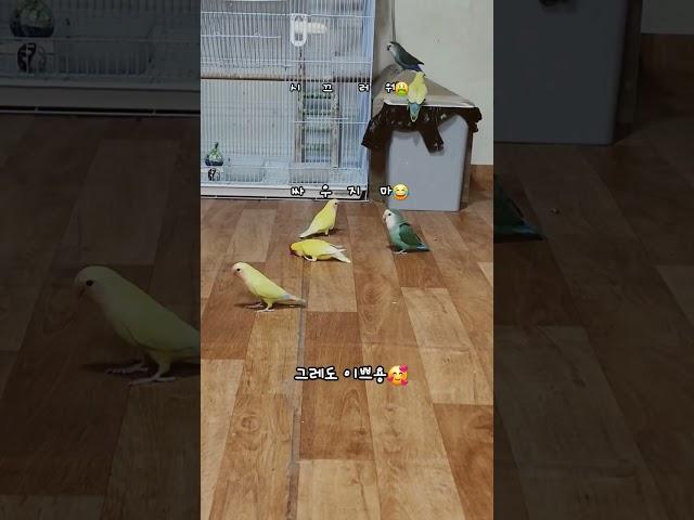오늘도 해피