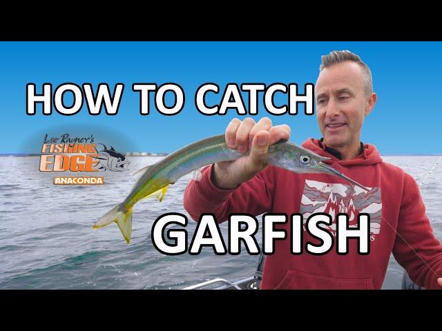 Fishing Edge - How To Catch Garfish