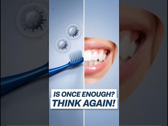 Think Brushing Once a Day is Enough?