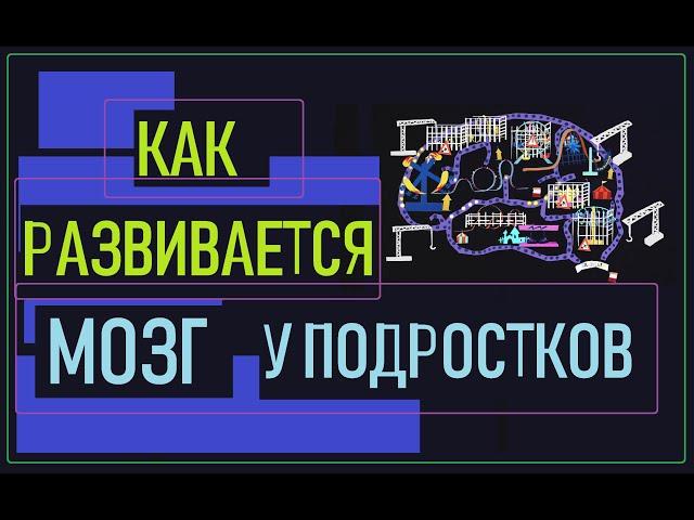 Что происходит в голове у подростков?