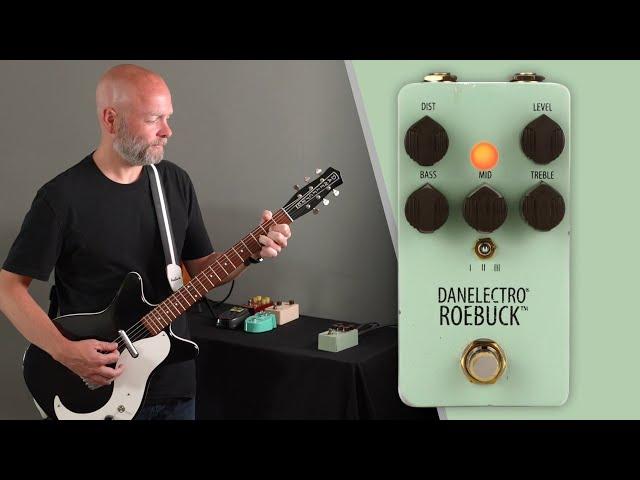 Getting Sounds on the Danelectro Roebuck