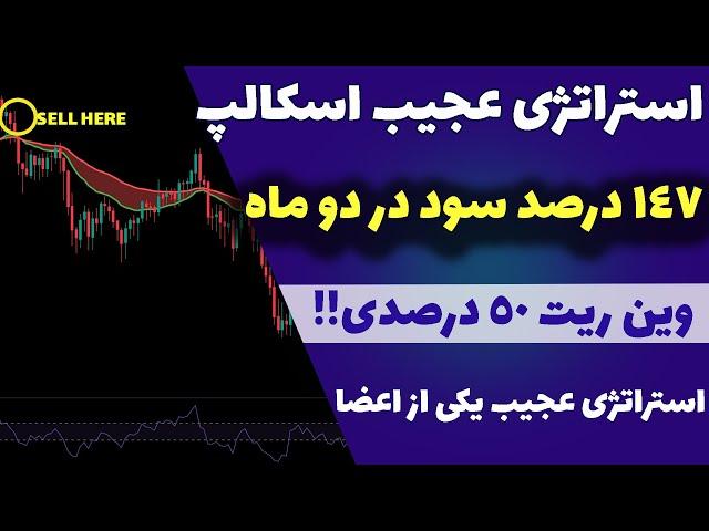 استراتژی عجیب یکی از اعضای کانال(22)| سود عجیب با روشی عجیب