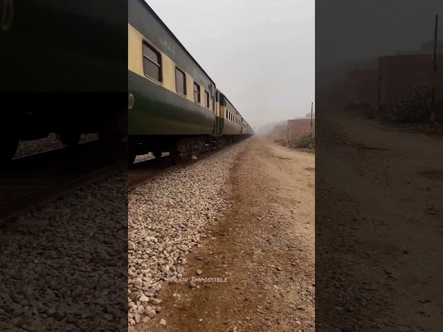 Train vs Indian Bat  #railaddictrik #railtrack #railway #railwayline #railwaytrack #railwayroute