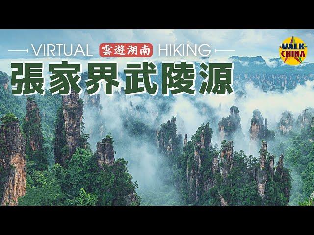 4K Virtual Walk in Zhangjiajie Wulingyuan Scenic Area - Hunan, China