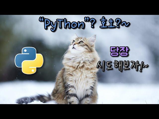 파이선(Python) [v5.0] 프로젝트1 {코딩빈의 쉬운 '파이썬'}