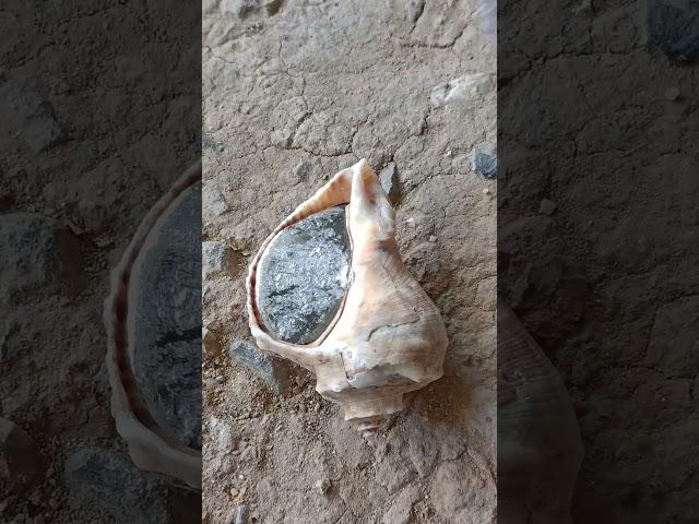 Amazing Recycled Metal Snail Shell Sculpture: From Scrap to Art #shorts #viralvideo #restoration