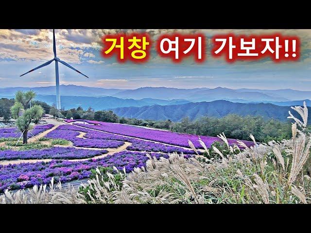 경남 거창 가볼만한 곳-어디가 좋을까?/감악산 꽃과별 축제/창포원/현성산/수승대/오도산/월여산