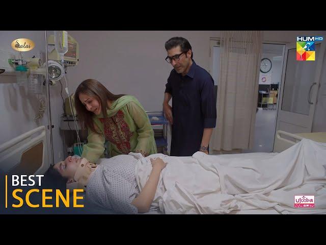 Jafaa - Episode 22 - Best Scene 01 - #mawrahussain #seharkhan #mohibmirza #usmanmukhtar - HUM TV