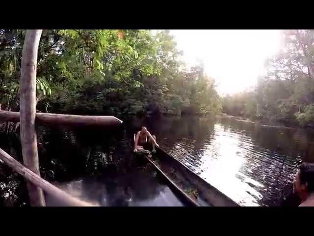 Orinoco Delta Experience