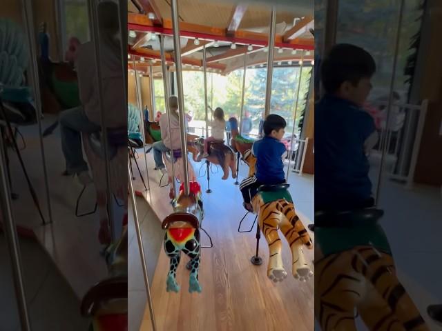 #kidsvideo #ride #kidsfun #kidsplay #zoofun #calgaryzoo #zoo#playzonegame #playgame