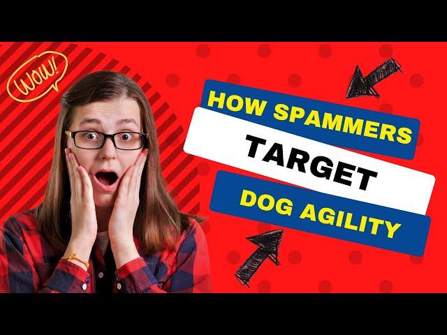 2 Ways Spammers are Targeting Dog Agility | Dog Agility Training