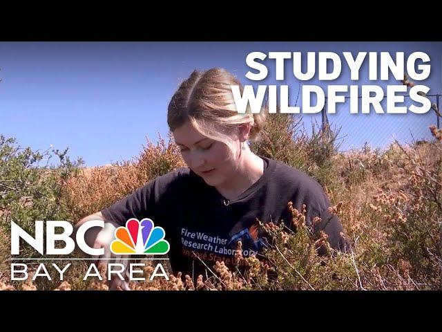 Fueled by own experience with fires, SJSU student dedicates herself to better understand phenomenon