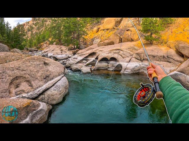 They say this WORLD FAMOUS River is Hard to Fish... (Fly Fishing for Trout)