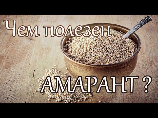 Чем полезен амарант? Польза семян амаранта.