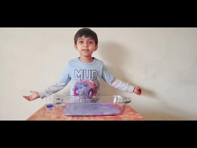 #Magic milk science experiment||Funproject||Science fun||FunwithRishu