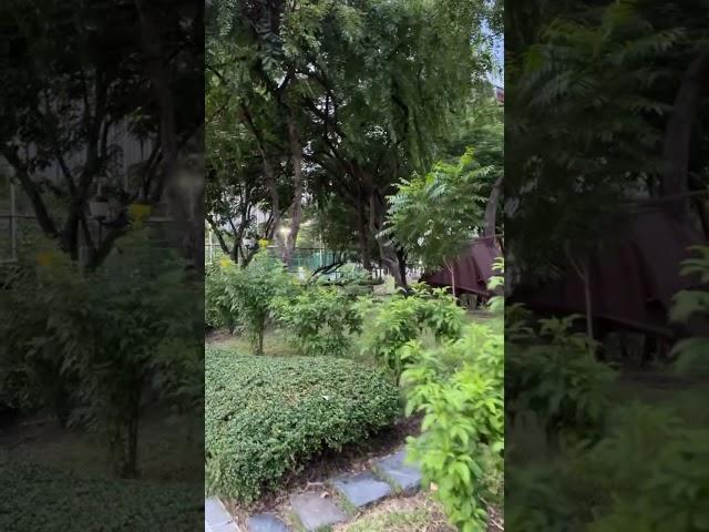 Walking on a windy day at Benjasiri Park in Bangkok, Thailand 