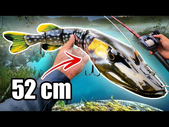 MONSTER vs Tiny Lures for PIKE FISHING  (1000 g Swimbait!!!)