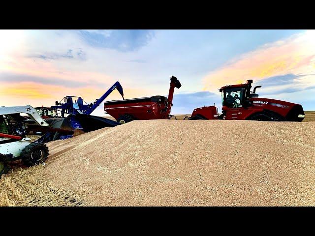 Grain Bag SPLIT OPEN!!!