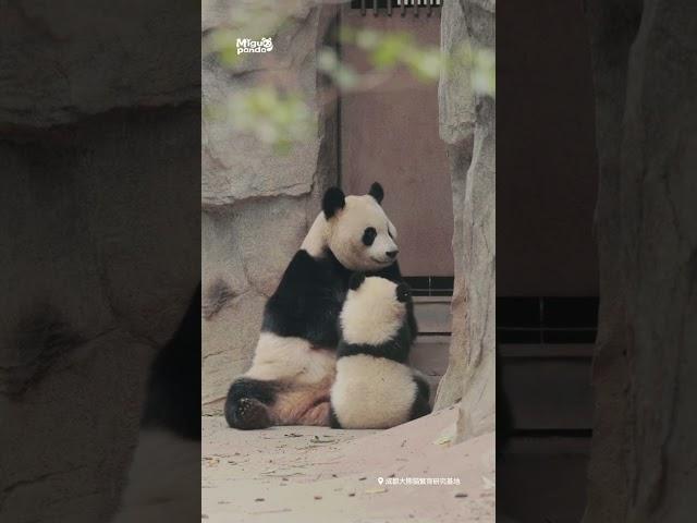 艾莉艾斯的母子时光